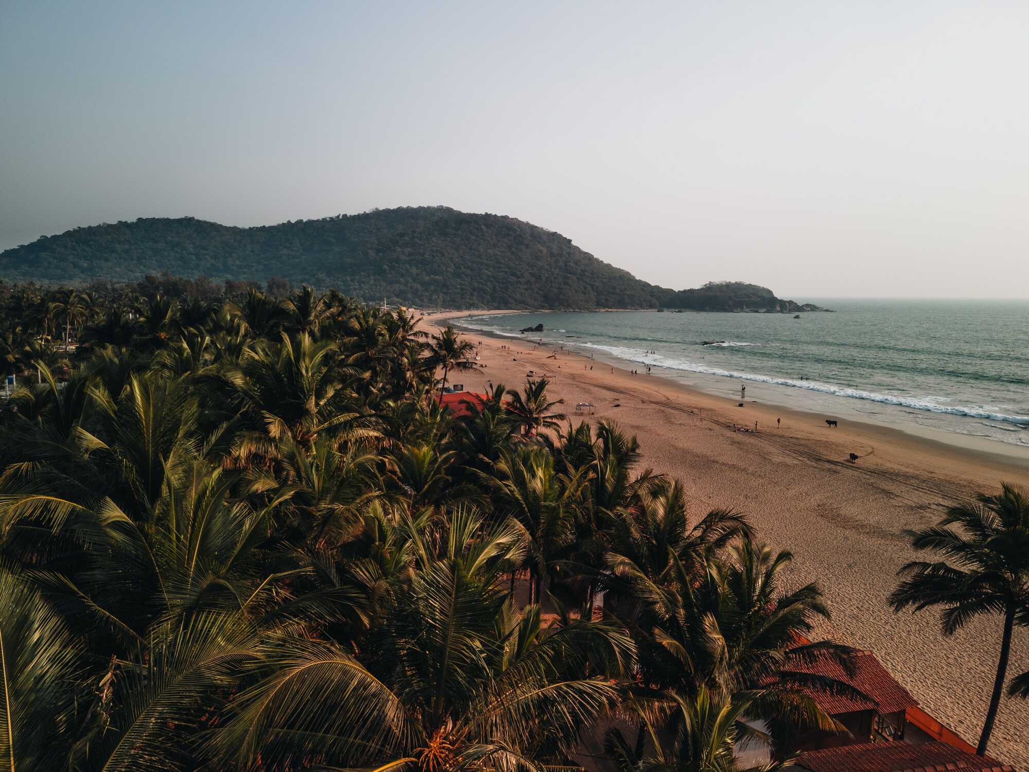 Aerial view of palm trees at sunset near Palolem, South Goa